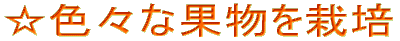 FXȉʕ͔|Ă܂B