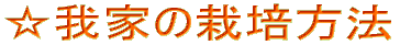 Ƃ͔̍|@